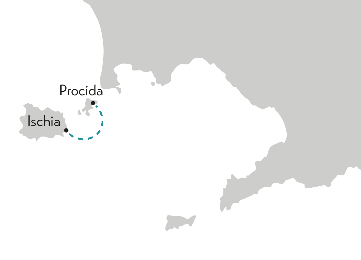 Ischia procida map